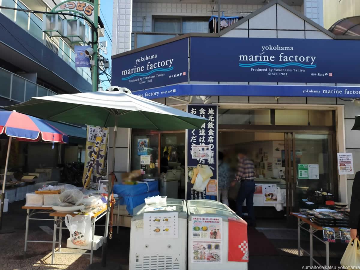 yokohama marine factory 横浜たにや 松原商店街店