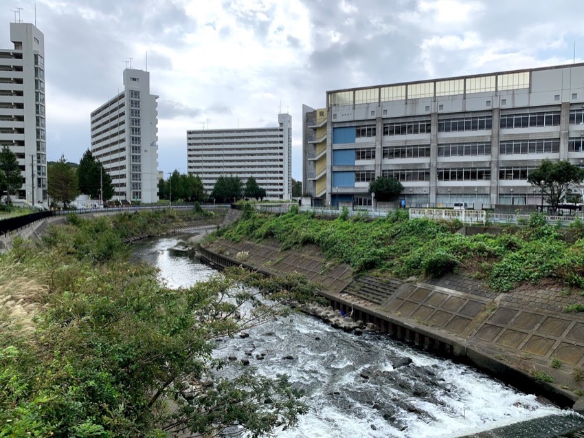 いちょう団地の横浜泉区と大和市の間を流れる境川