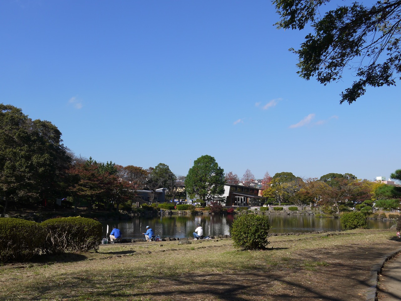 横浜 公園 こども 自然 横浜市こども自然公園青少年野外活動センター