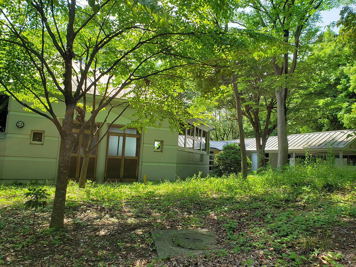 青少年野外活動センター　ホール