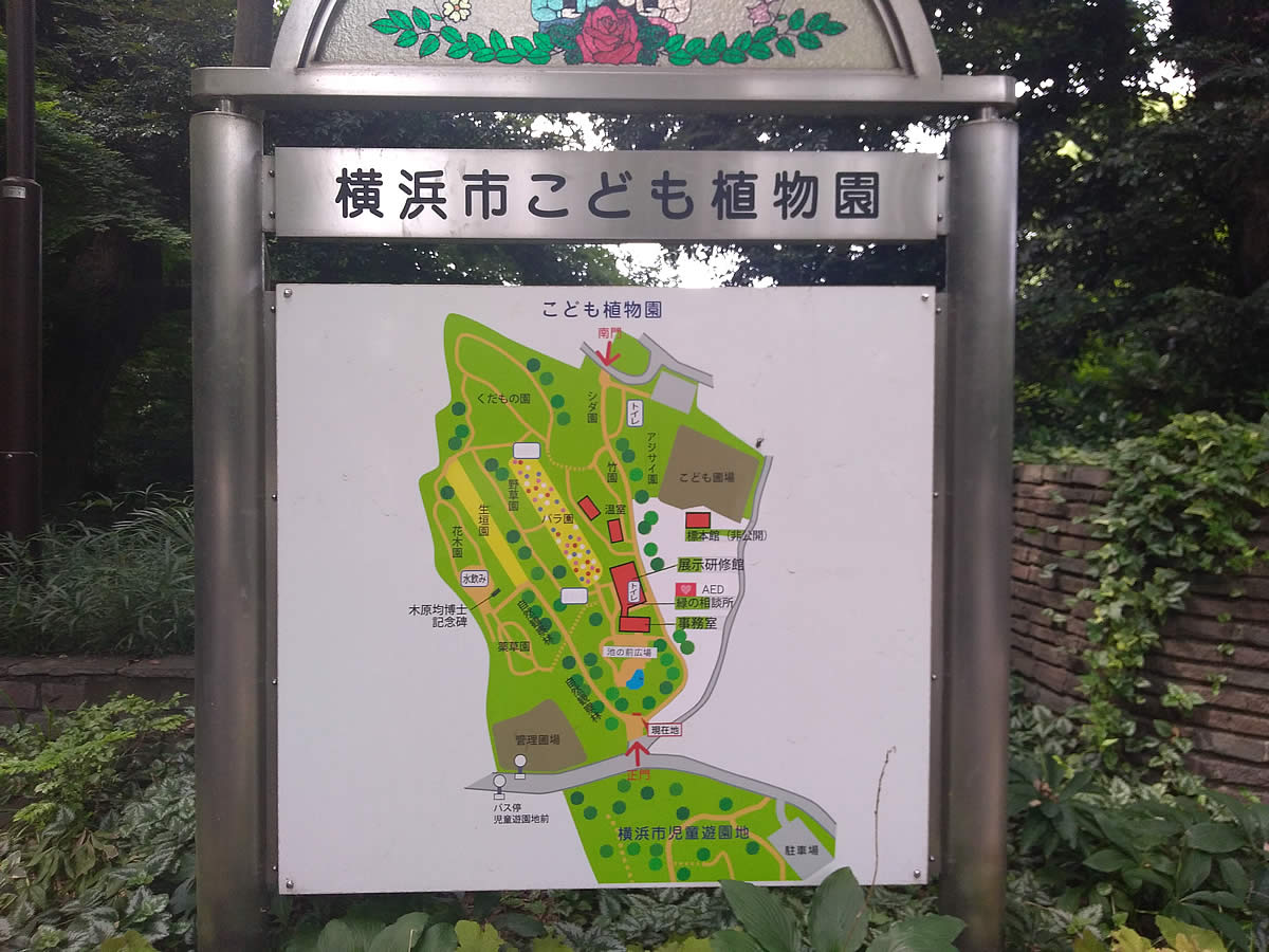 横浜市こども植物園　案内図