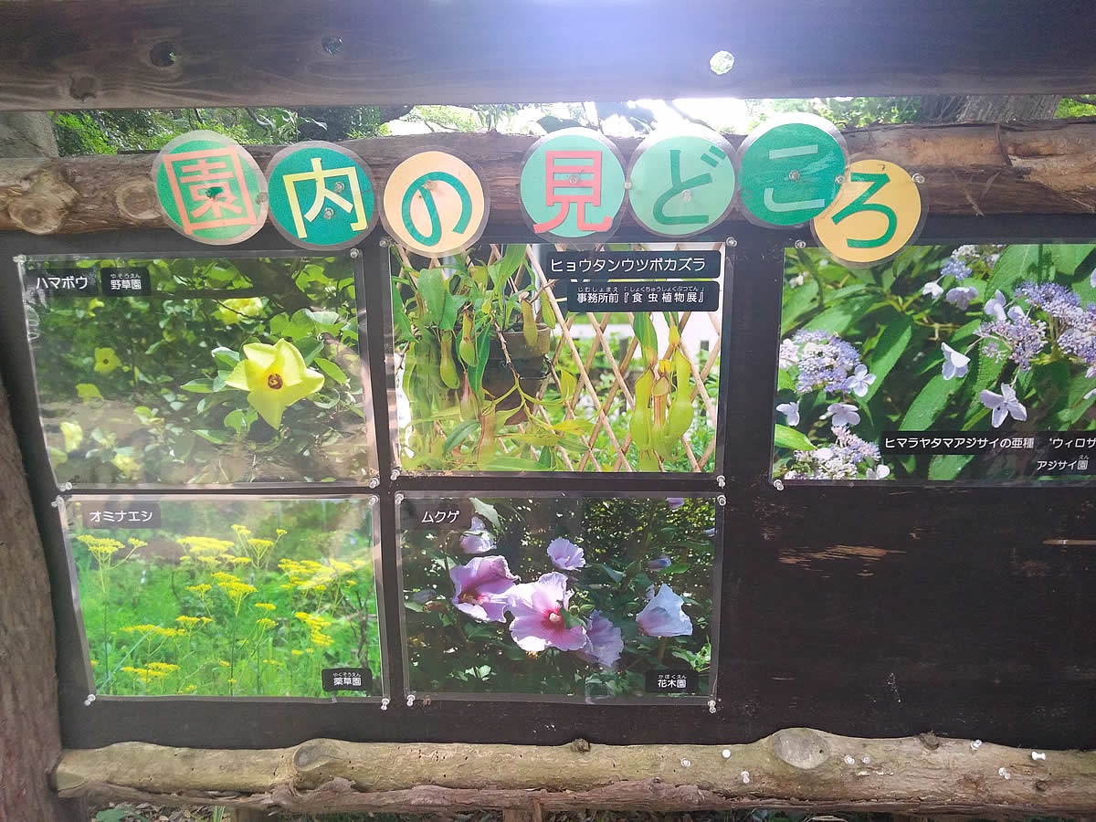 横浜市こども植物園　見どころ写真