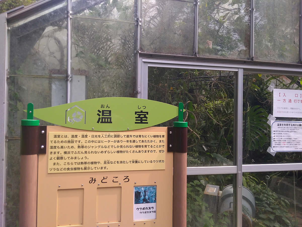 横浜市こども植物園　温室