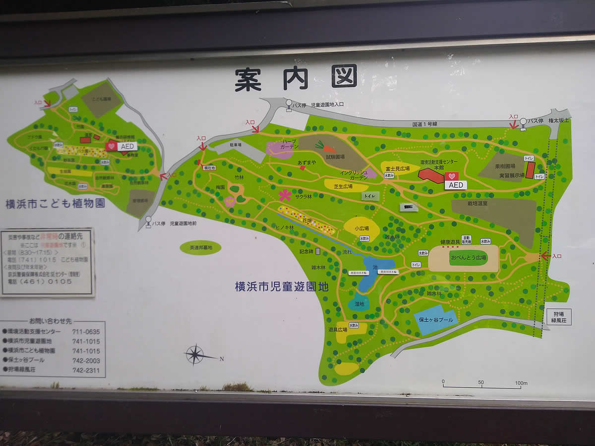横浜市児童遊園地　案内図