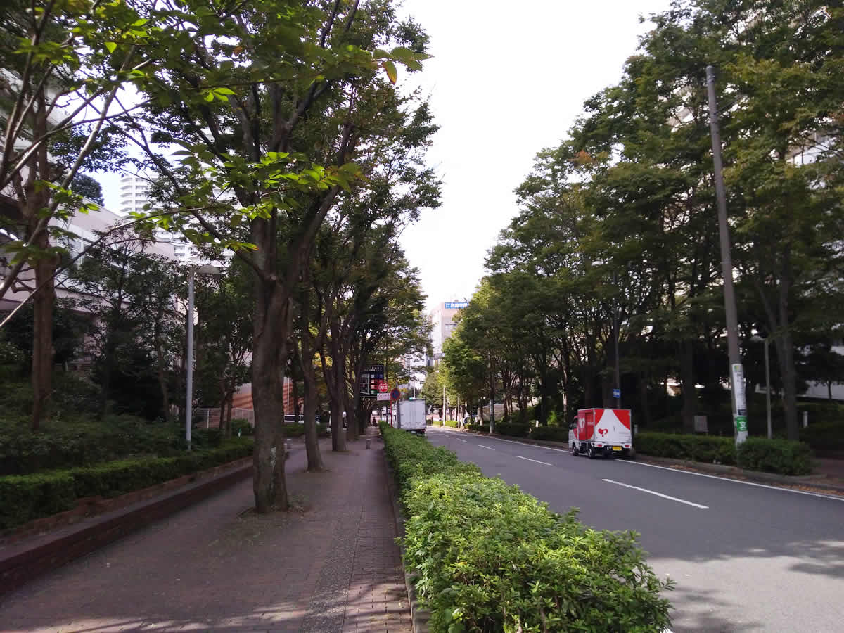 東戸塚のオーロラシティで買い物と散歩を楽しむ 横浜で暮らそう