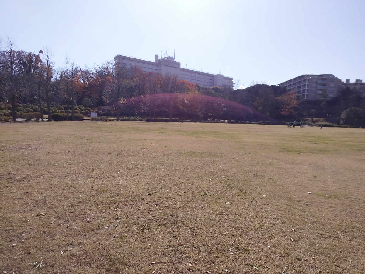 久良岐公園　自由広場