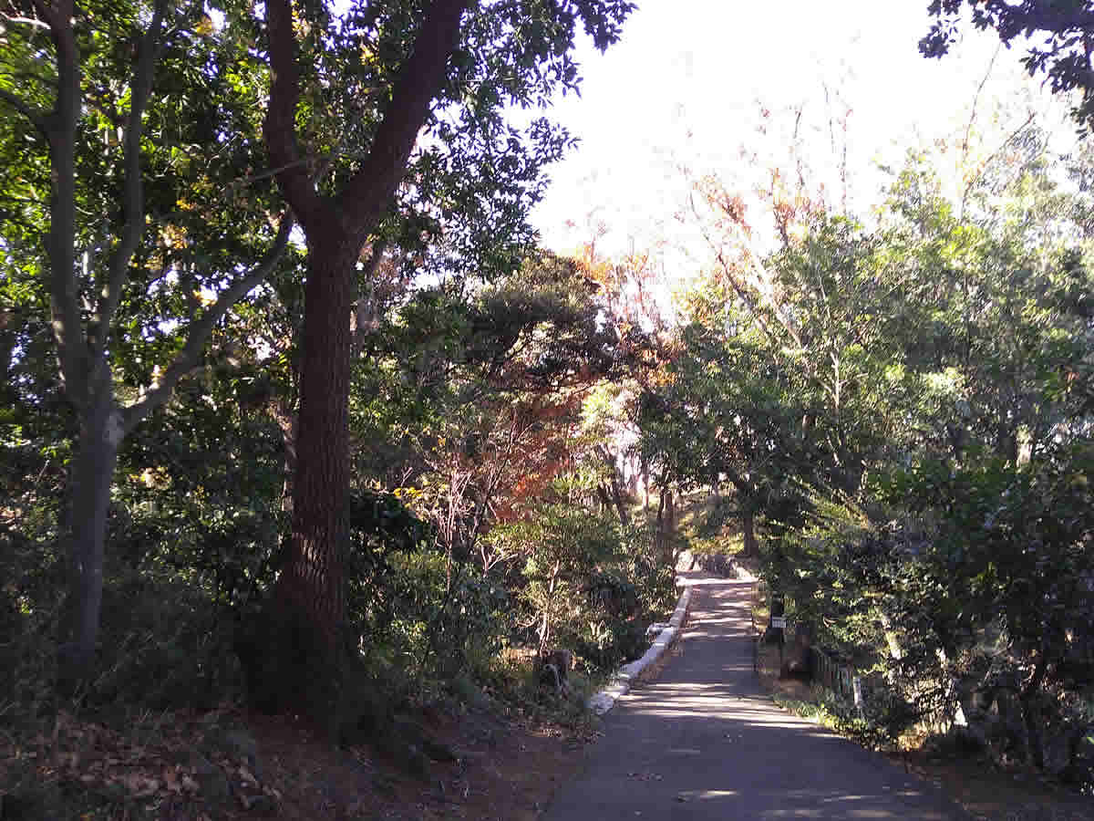 久良岐公園遊歩道
