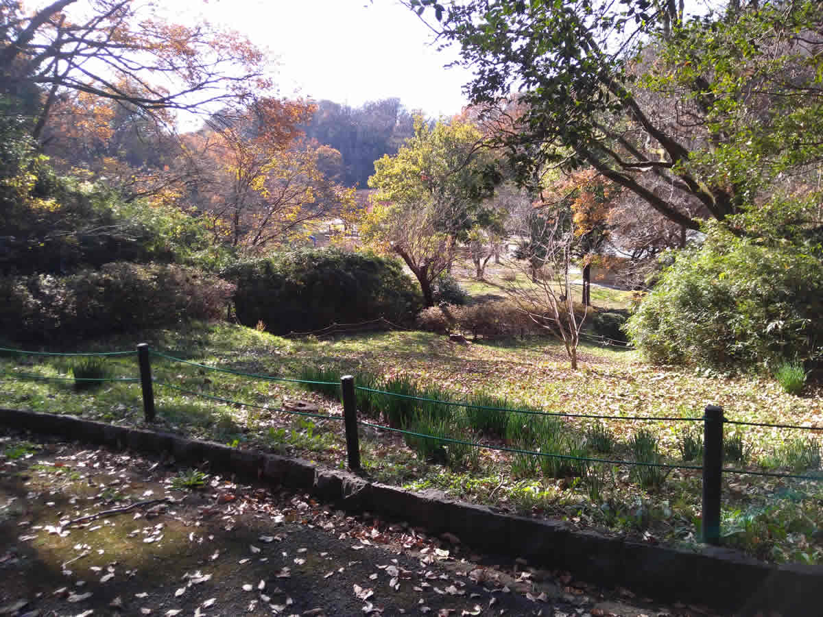久良岐公園遊歩道