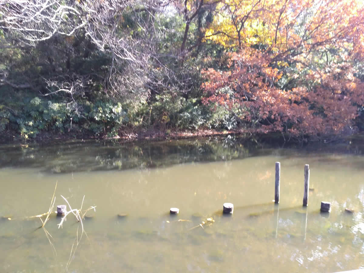 久良岐公園の大池