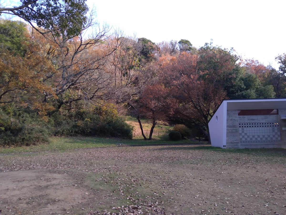 久良岐公園　ピクニック広場