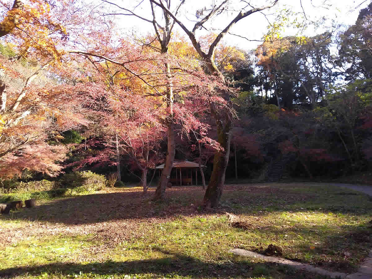久良岐能舞台の庭園