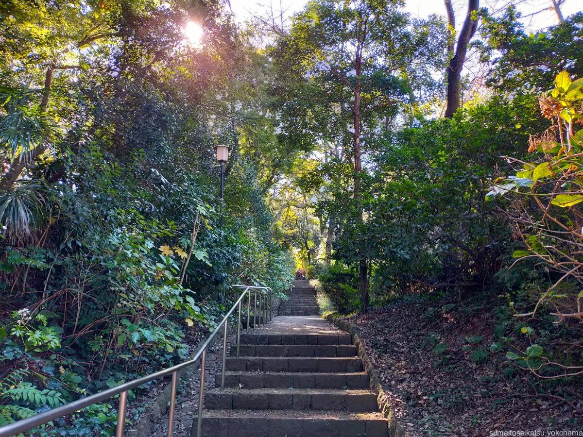豊顕寺市民の森　階段