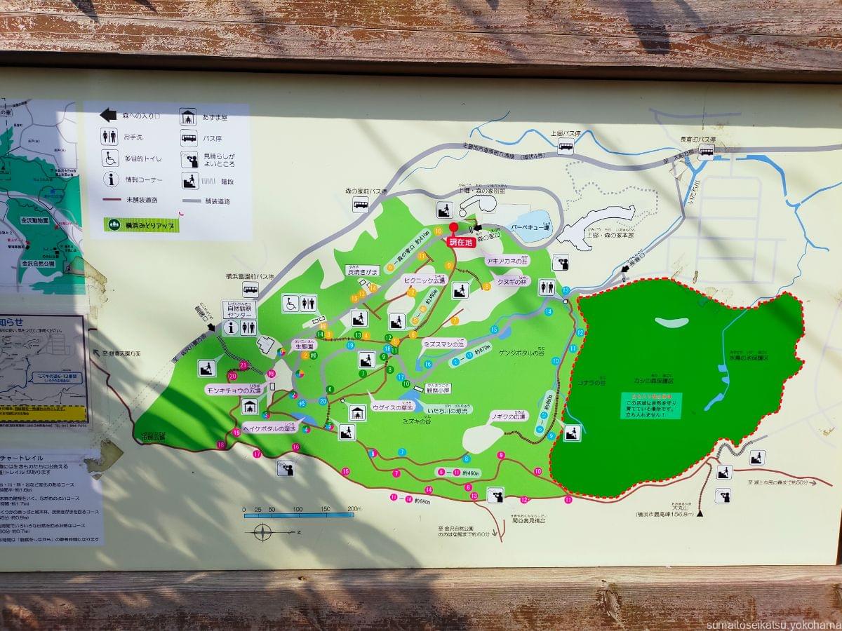 横浜自然観察の森　案内図
