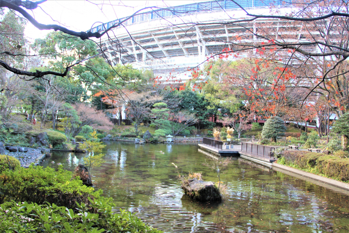 横浜公園の庭園