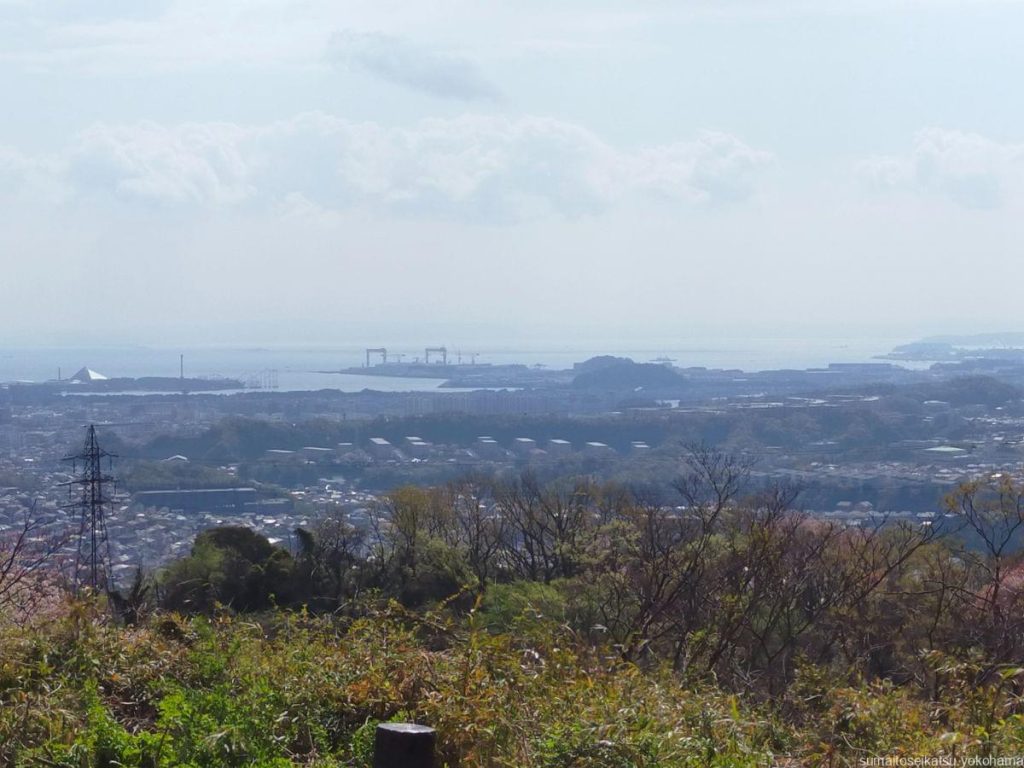 大丸山からの眺め