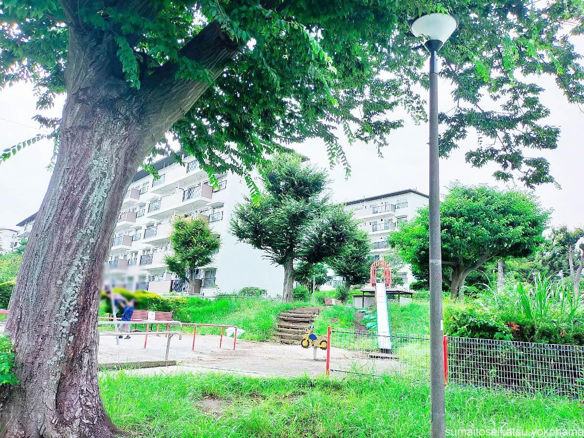 左近山団地　公園