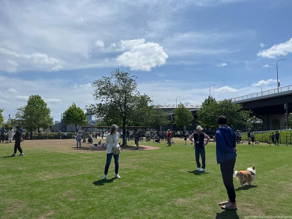 新横浜公園ドッグラン
