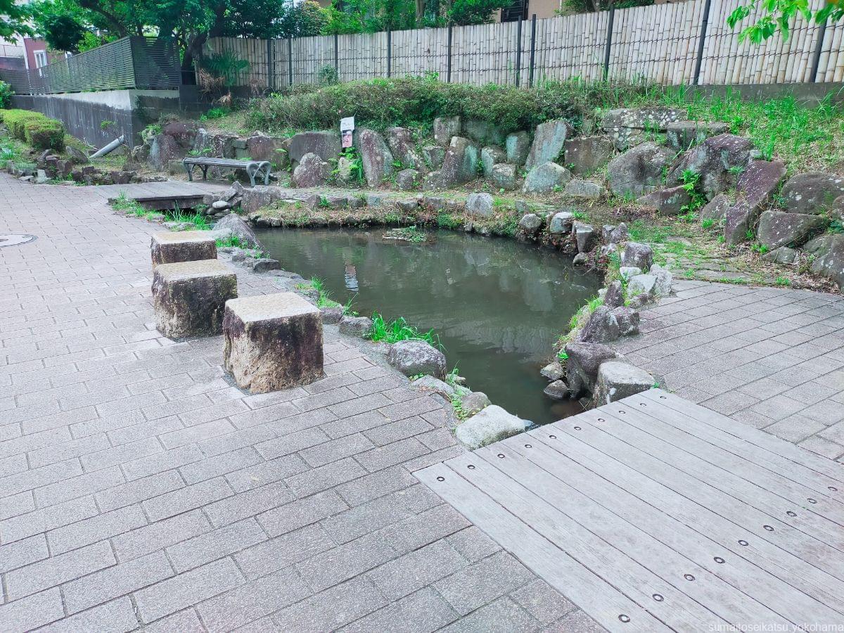 舞岡町小川アメニティにある池