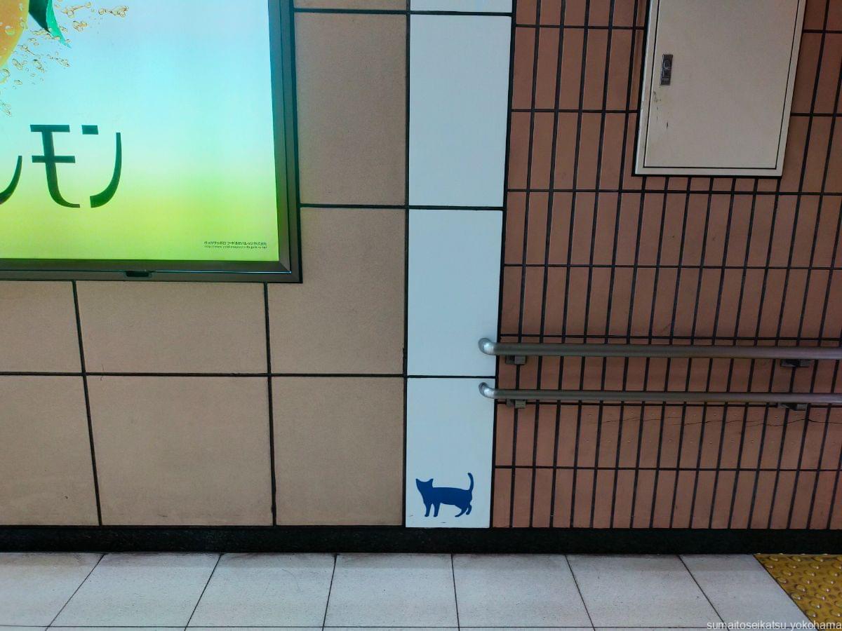 横浜市営地下鉄　踊場駅の猫