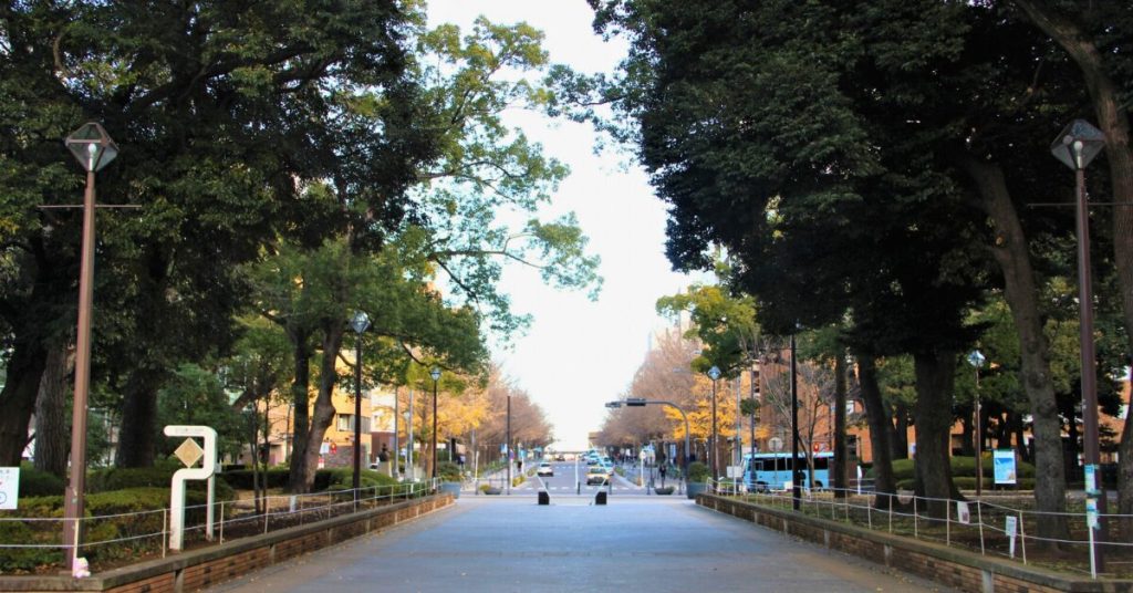 11月16・17日、横浜公園でBALLPARK ADVENTURE開催