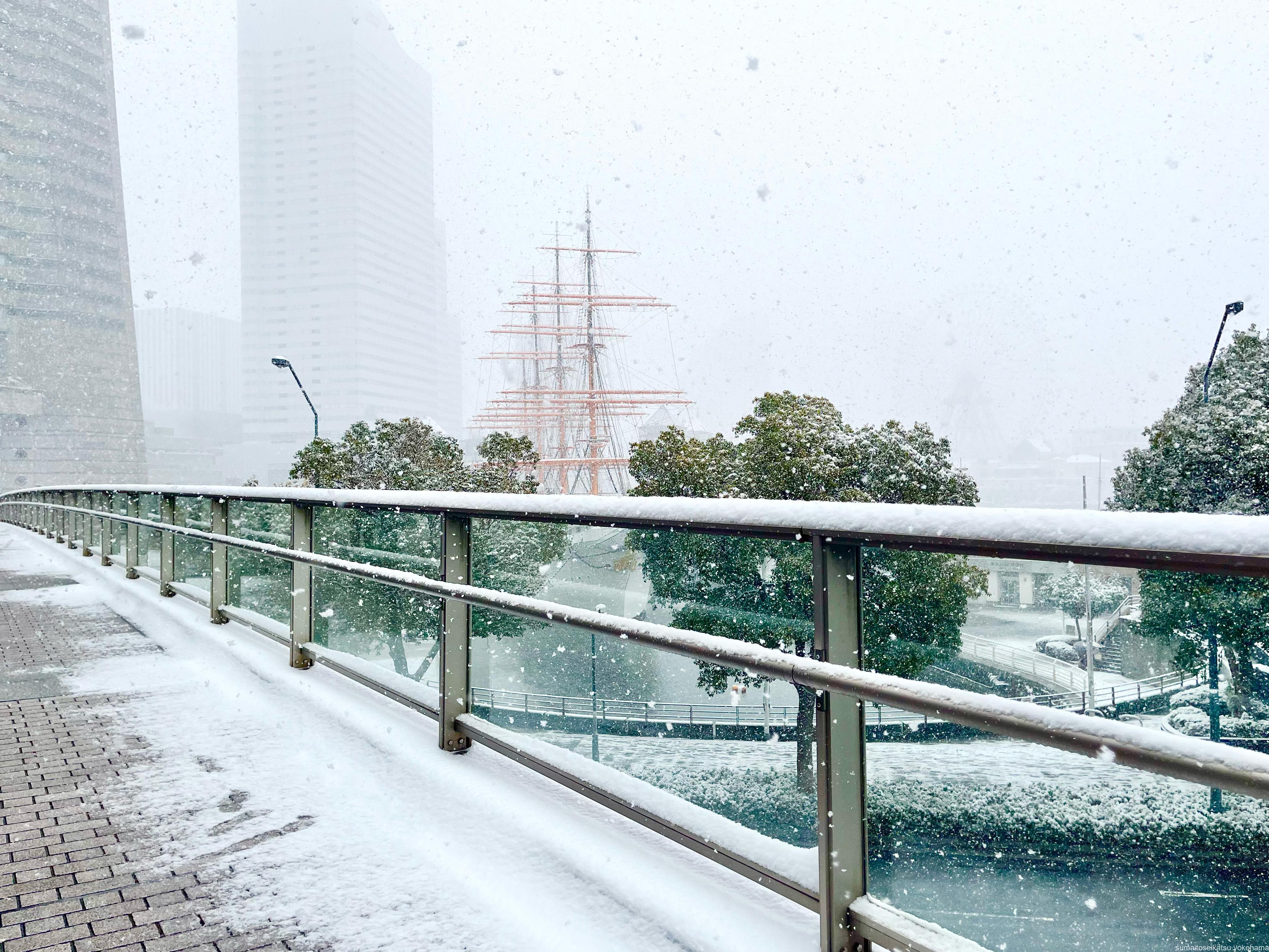 雪のみなとみらい