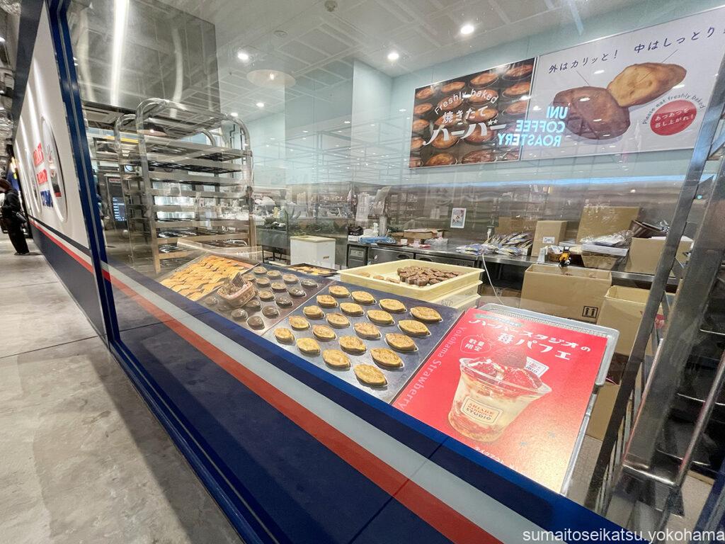 ハンマーヘッド　ありあけ