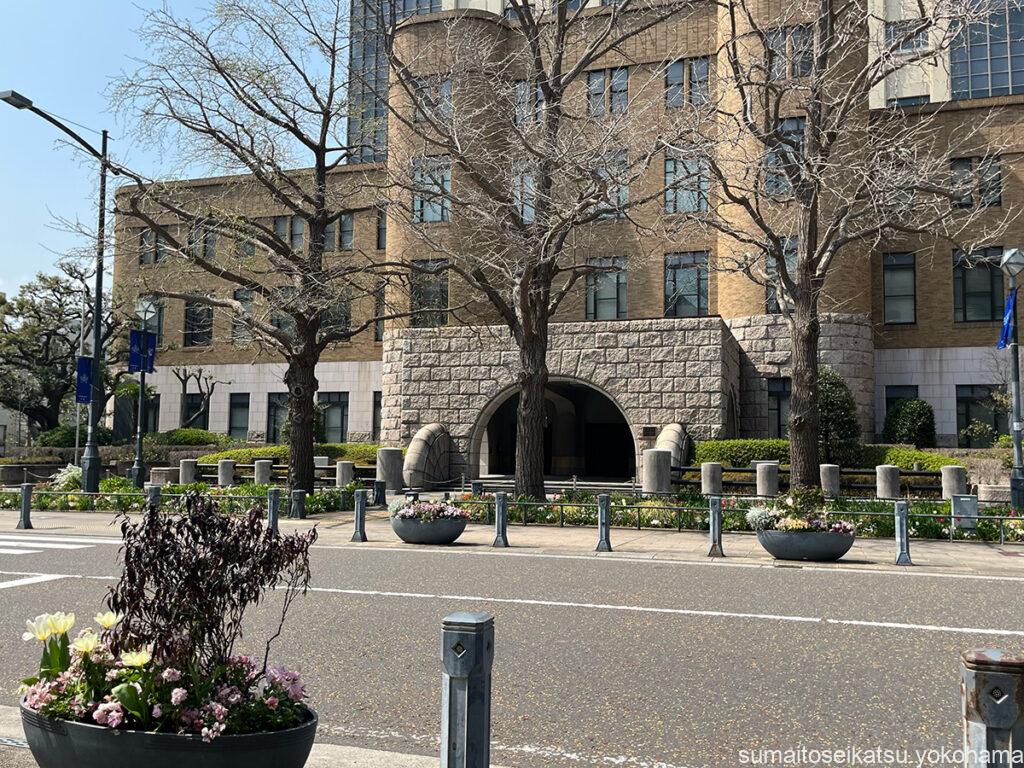 日本大通りのチューリップと裁判所